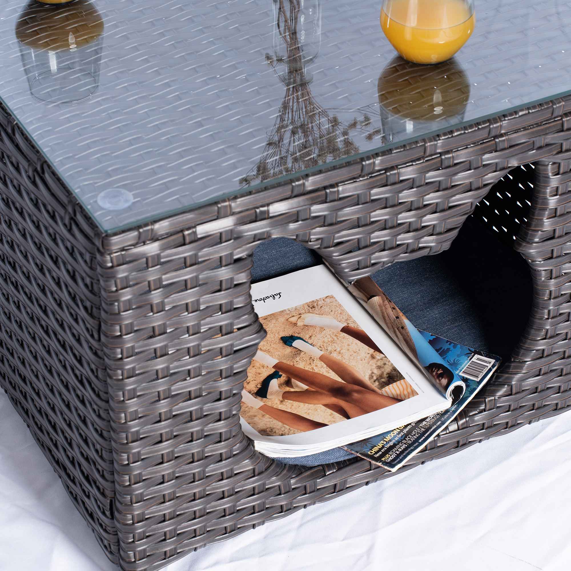 Ovios Pet Coffee Table for GRS/NTC/HOP/NDS Series.