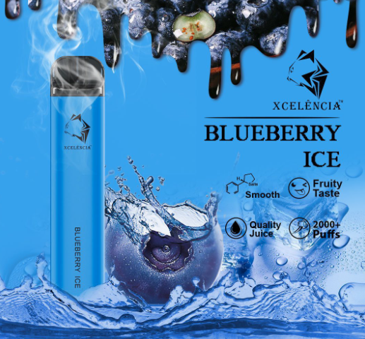 GUNNPOD BLUEBERRY ICE – 2000 PUFFS